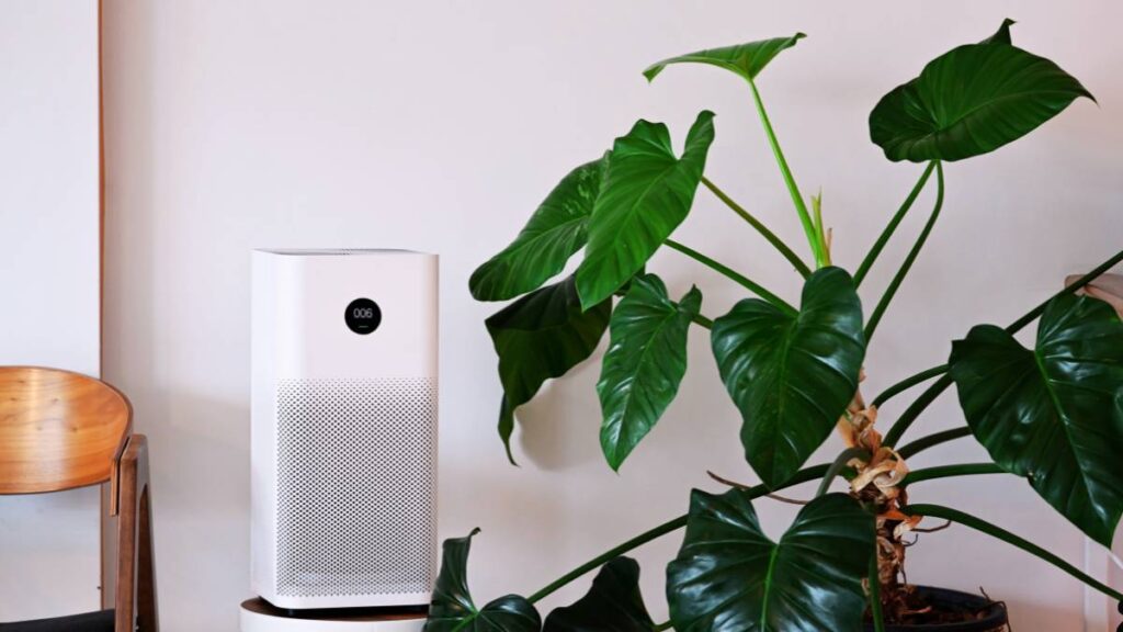 air purifier with plants in a table