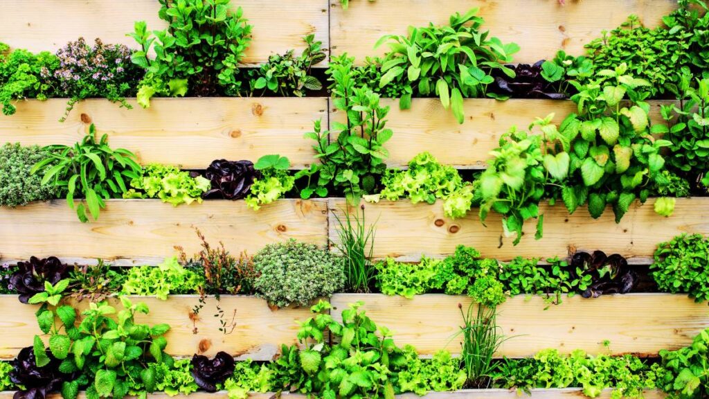 vertical garden