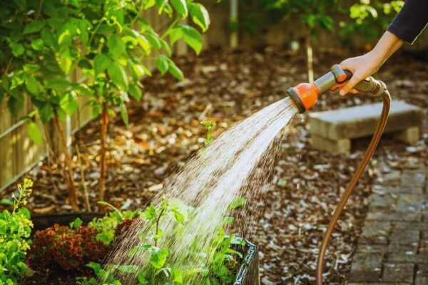 person holding a water hose