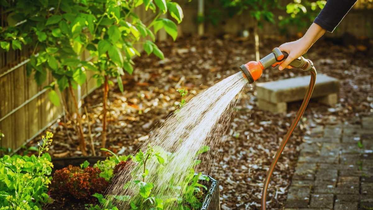 person holding a water hose